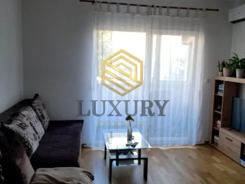 Izdavanje, garsonjera, 29m², Ljubović, Podgorica - image 3