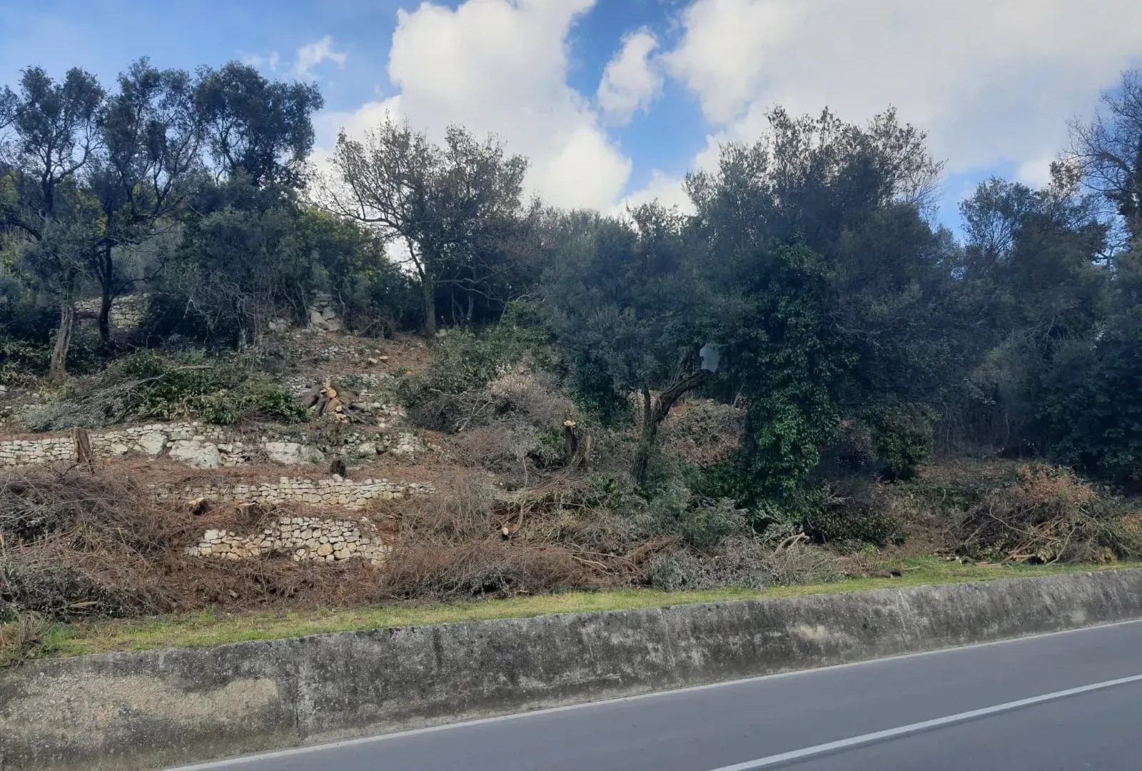 Prodaja, plac, 470m², Đenovići, Herceg Novi