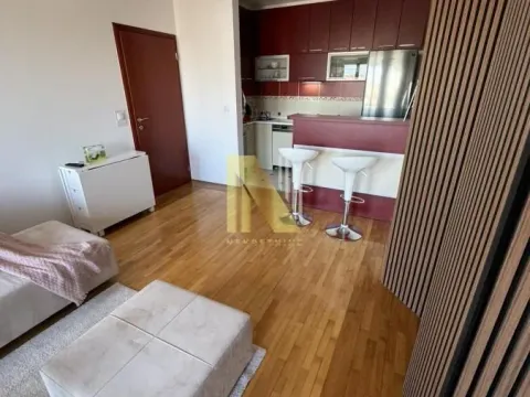Izdavanje, jednosoban stan, 45m², Bulevar patrijarha Pavla, Novi Sad Sve Podlokacije - image 3