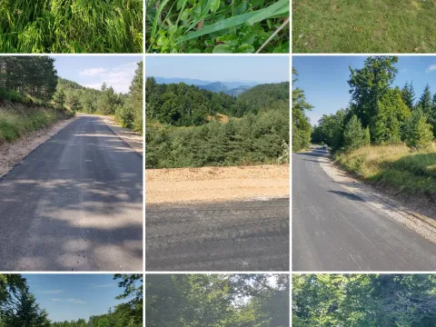 Prodaja, plac, 7000m², Mokra gora, Tara - image 11