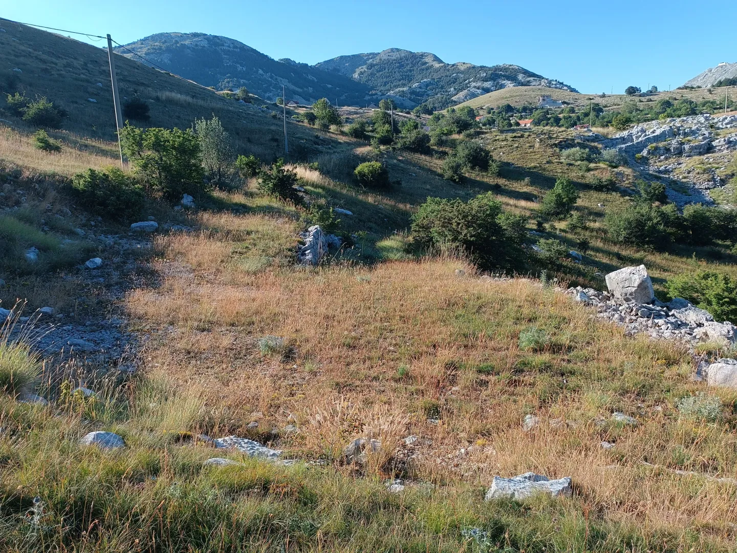 Prodaja, plac, 9000m², Ivanova Korita, Cetinje
