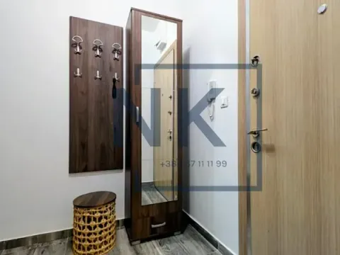 Izdavanje, jednosoban stan, 50m², Stari Aerodrom, Podgorica - image 12