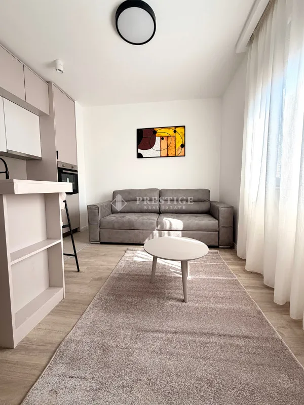 Rent, studio apartment, 25m², Zabjelo, Podgorica