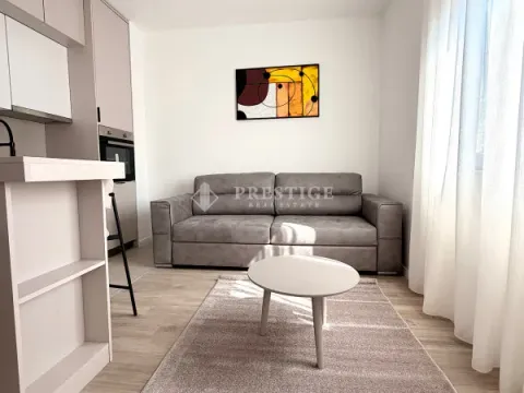 Izdavanje, garsonjera, 25m², Zabjelo, Podgorica - image 5