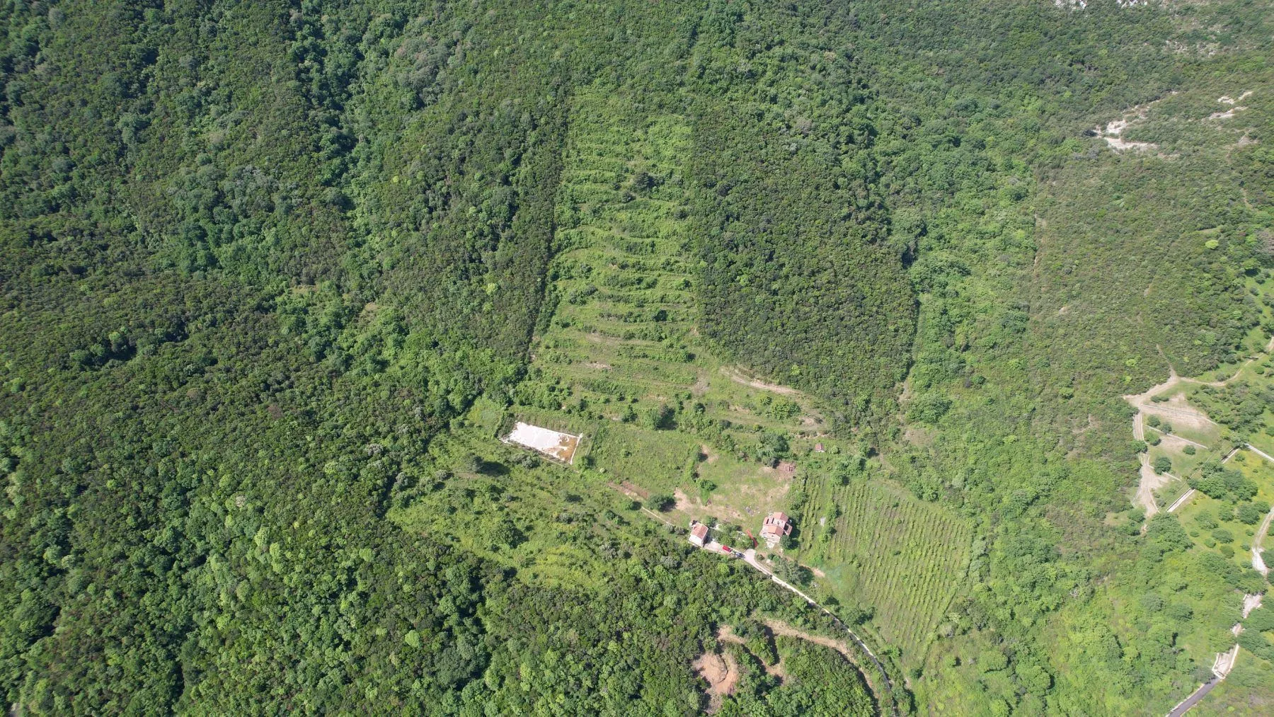 Prodaja, plac, 83000m², Radanovići, Kotor