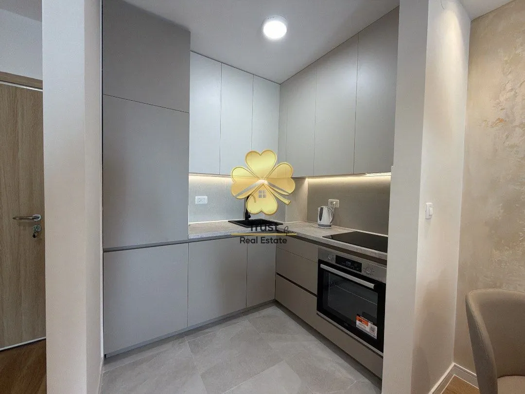 Rent, one bedroom apartment, 45m², Central Point, Podgorica