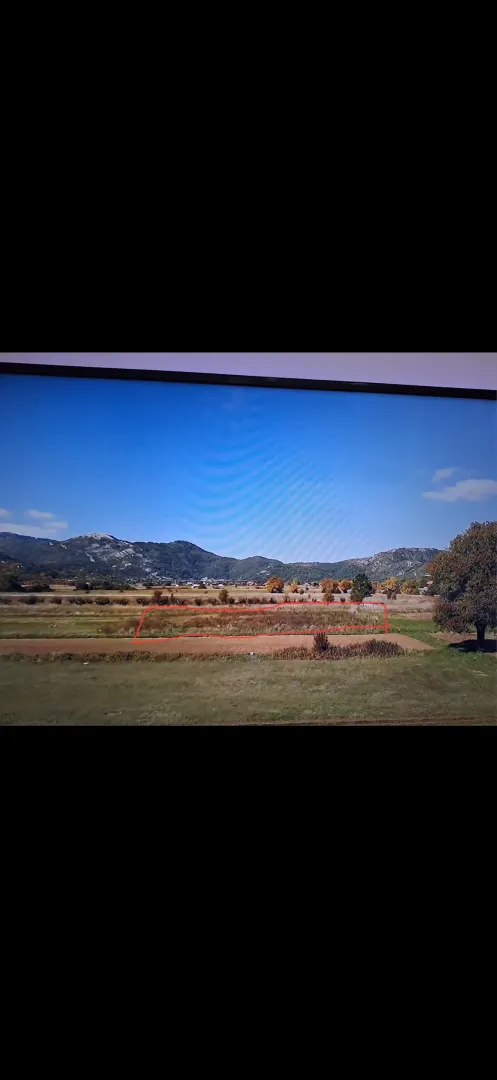 Pogled na zemljište sa ucrtanim granicama i okolnu prirodu.