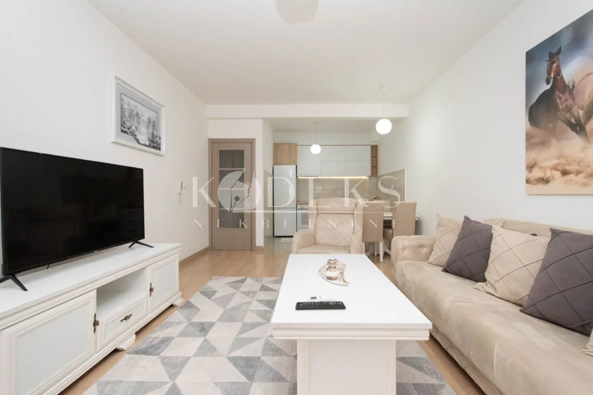Rent, one bedroom apartment, 54m², Zabjelo, Podgorica