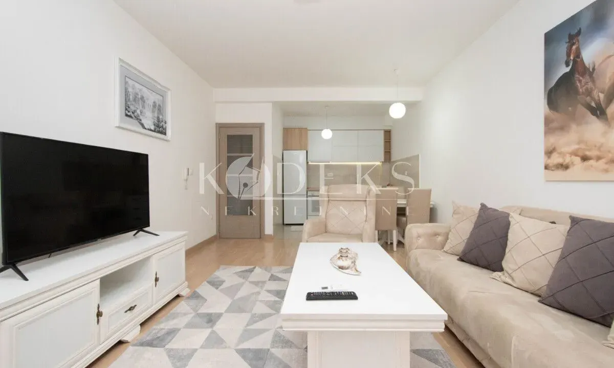 Rent, one bedroom apartment, 54m², Zabjelo, Podgorica