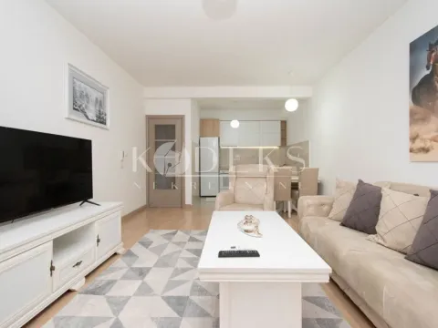 Rent, one bedroom apartment, 54m², Zabjelo, Podgorica - image 1