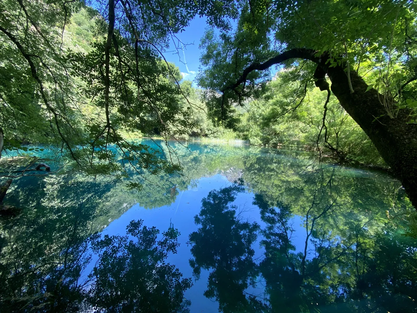 Prirodno okruženje sa šumom i vodom.