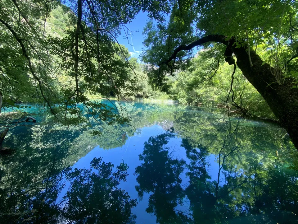 Prodaja, plac, 270000m², Glava zete, Danilovgrad