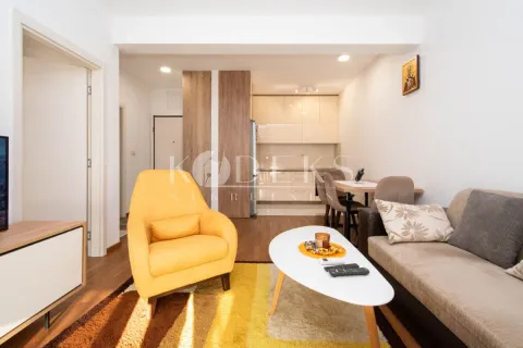 Rent, one bedroom apartment, 48m², Zabjelo, Podgorica - image 1