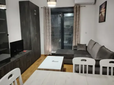 Izdavanje, jednosoban stan, 40m², Zabjelo, Podgorica - image 6