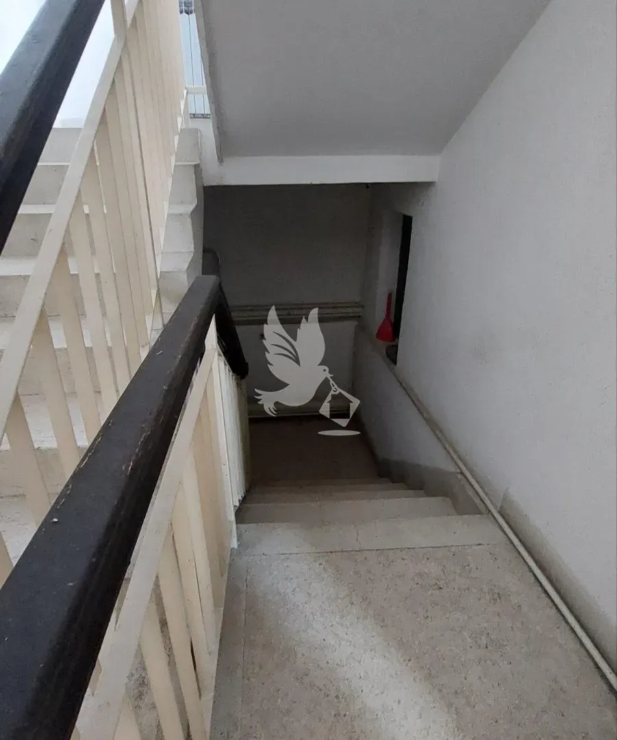Sale, house, 400m², Rabrovac, Mladenovac