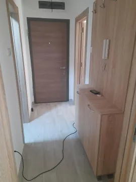 Izdavanje, jednosoban stan, 44m², Ljubović, Podgorica - image 6
