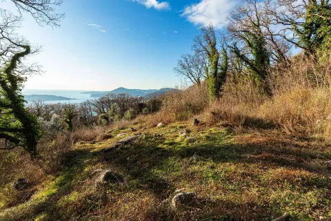 Pogled na prirodno okruženje sa drvećem i morem u pozadini. - image 3
