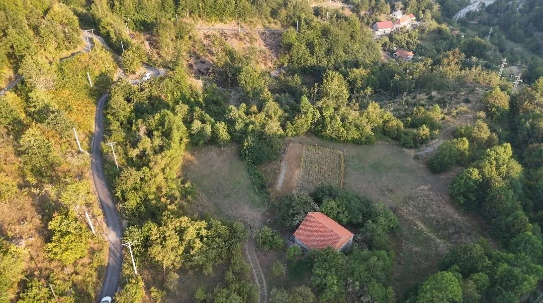 Pogled iz vazduha na imanje sa kućom i okolnim zelenilom.