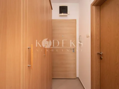 Izdavanje, garsonjera, 30m², Tuški Put, Podgorica - image 6