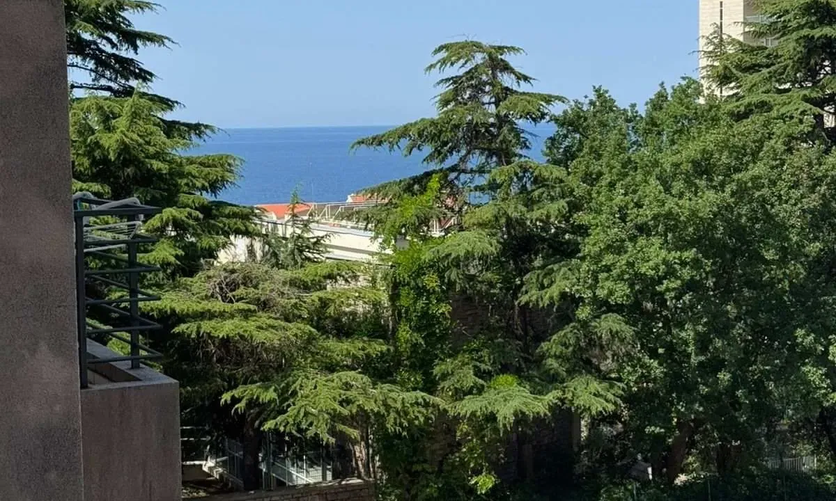 Prodaja, jednosoban stan, 61m², Petrovac, Budva
