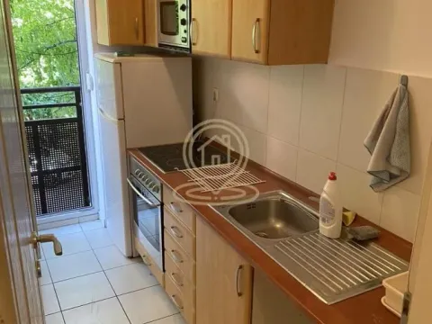 Rent, one bedroom apartment, 30m², Grbavica, Novi Sad Sve Podlokacije - image 6
