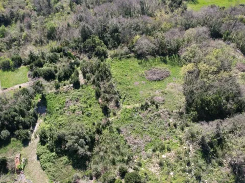 Prodaja, plac, 985m², Krimovica, Kotor - image 5