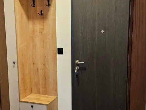 Izdavanje, jednosoban stan, 48m², Stara Varoš, Podgorica - image 16