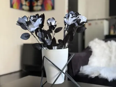 Izdavanje, trosoban stan, 78m², Medijana, Niš - image 3