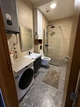 Modernly equipped bathroom with a walk-in shower, washbasin, and washing machine. - image 11