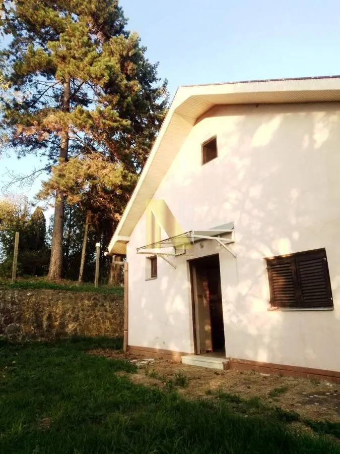 Pogled na spoljašnjost kuće sa dvorištem i visokim drvećem.
