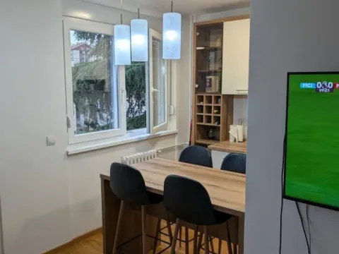 Izdavanje, dvosoban stan, 44m², Šumice, Beograd - image 13