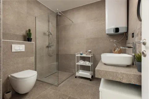 Modern bathroom equipped with a walk-in shower, washbasin, and toilet. - image 3
