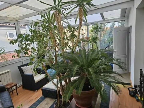 Izdavanje, kuća, 323m², Olimp, Zvezdara Sve Podlokacije - image 9