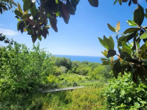 Prodaja, kuća, 145m², Blizikuće, Budva - image 12