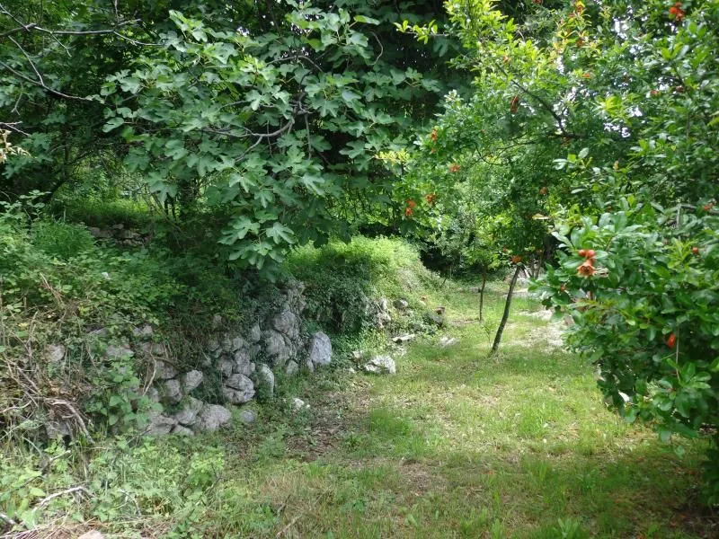 Sale, office space, 2000m², Kotor, Crna Gora