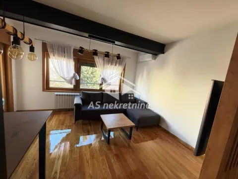 Izdavanje, trosoban stan, 56m², Južni Bulevar, Vračar Sve Podlokacije - image 2