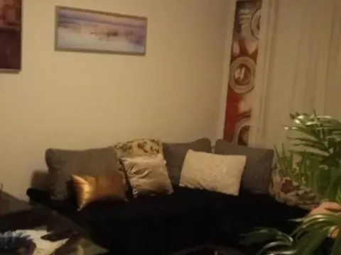 Prodaja, dvosoban stan, 48m², Satelit, Novi Sad Sve Podlokacije - image 7