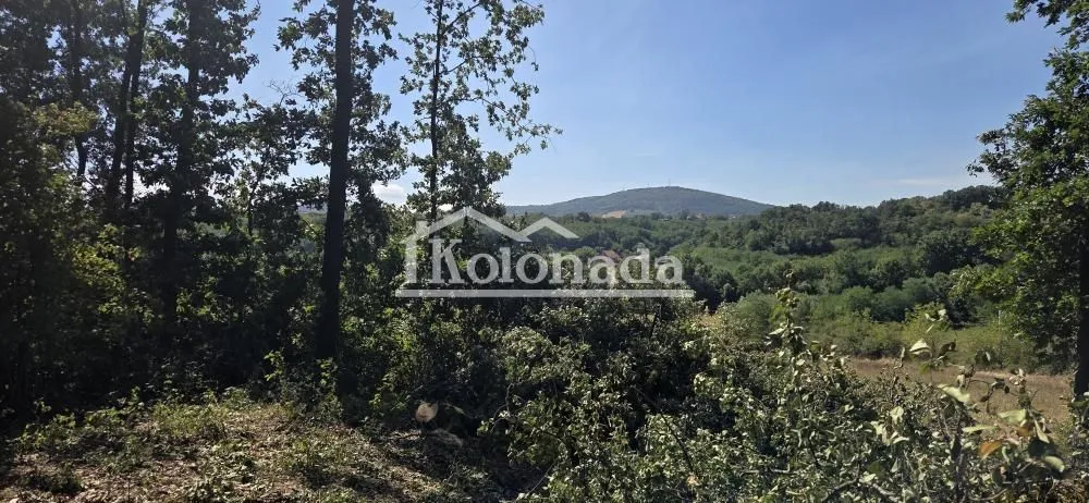 Pogled na šumu i brda u okolini.