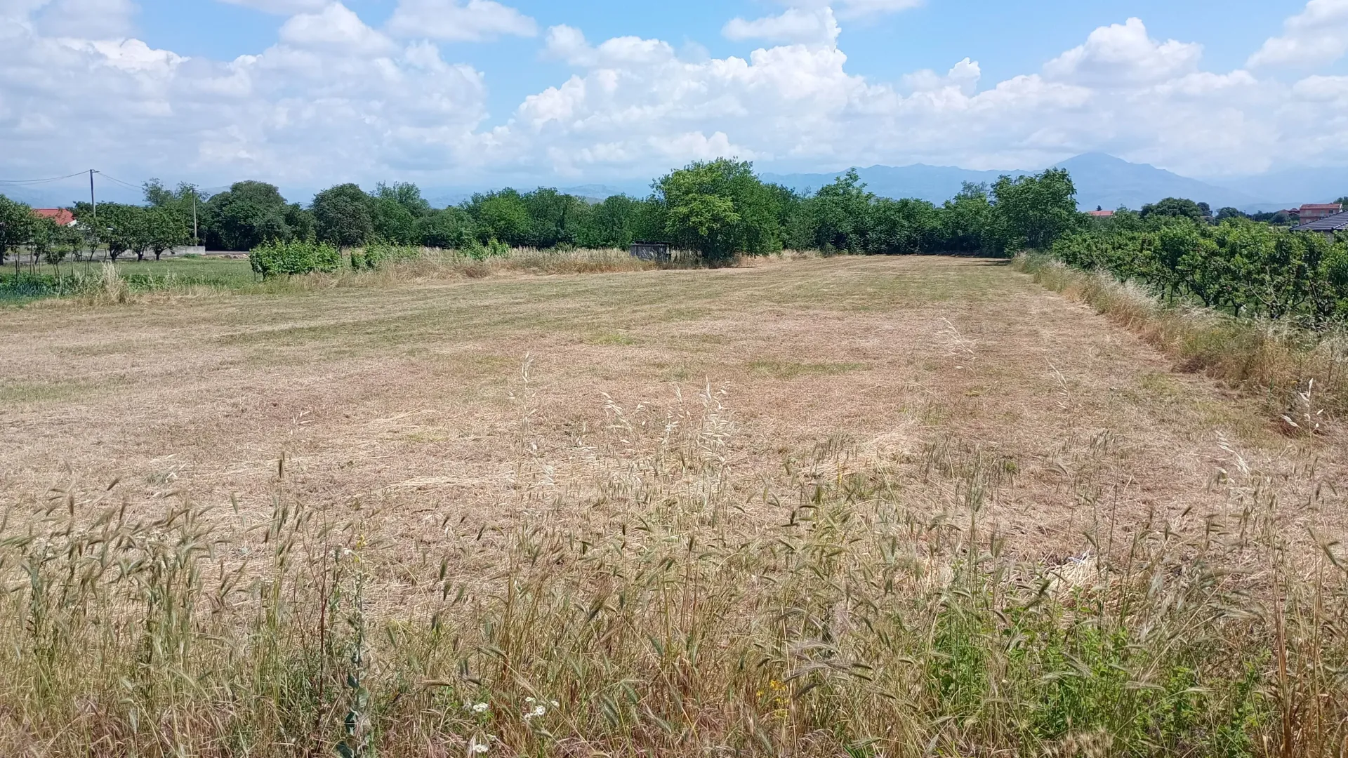 Prodaja, plac, 1000m², Farmaci, Podgorica