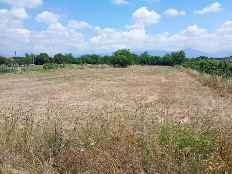 Prodaja, plac, 1000m², Farmaci, Podgorica - image 7