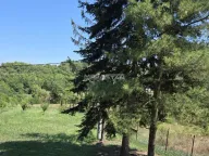 Prodaja, kuća, 54m², Grocka, Beograd - image 14