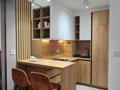 Rent, one bedroom apartment, 38m², Zabjelo, Podgorica - image 9
