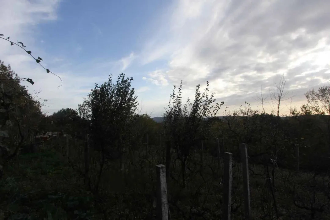 Prodaja, plac, 669m², Herceg Novi, Crna Gora
