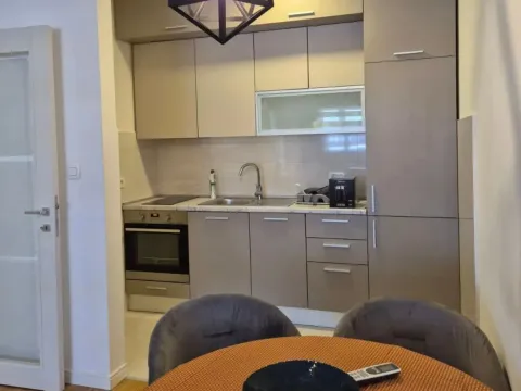 Izdavanje, jednosoban stan, 49m², Central Point, Podgorica - image 3