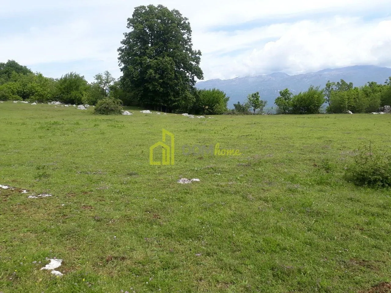 Prodaja, plac, 42349m², Zagreda, Danilovgrad