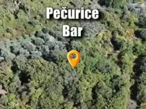 Prodaja, plac, 5800m², Pečurice, Bar - image 2