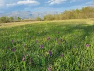 Prodaja, plac, 5554m², Jastreb, Danilovgrad - image 3