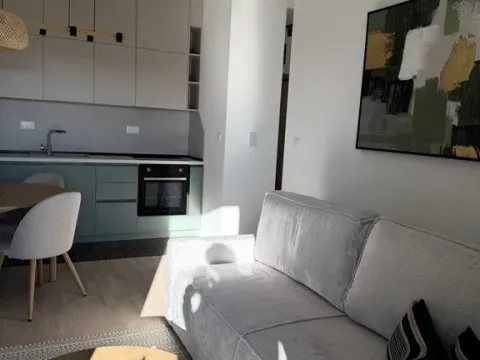 Rent, one bedroom apartment, 40m², Tološi, Podgorica - image 2