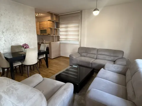Rent, one bedroom apartment, 46m², Nova Dalmatinska, Podgorica - image 2