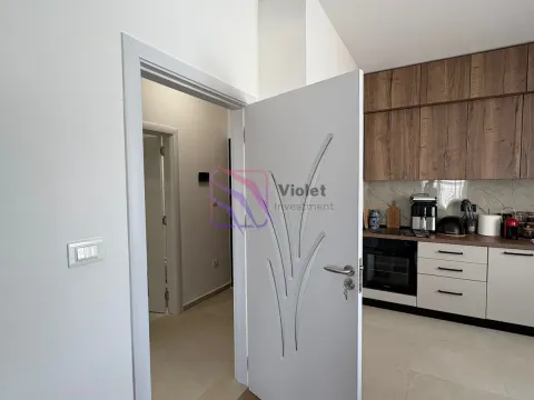 Izdavanje, jednosoban stan, 46m², Zabjelo, Podgorica - image 4
